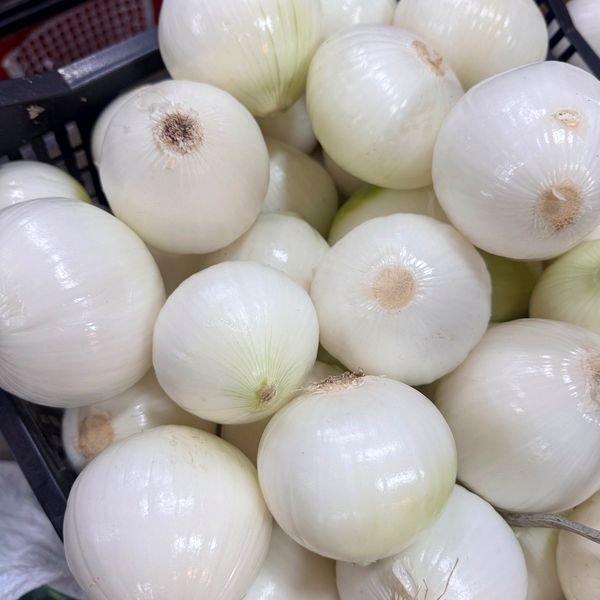 Cebolla blanca